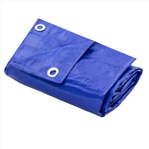 LONA POLIETILENO AZUL 2X2 THOMPSON 1212 100MC