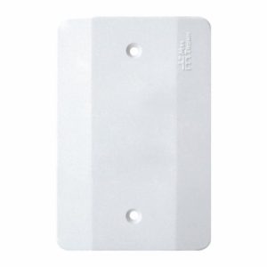 PLACA CEGA 4X2 BCO MECTRONIC 22007