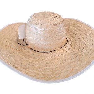 CHAPEU BRASILIA SIMPLES COM ORLA S/ARAME - CX/12 - CARNAUBA