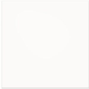 PISO ESM 50X50 BRANCO 50 FORMIGRES PEI 4 12P